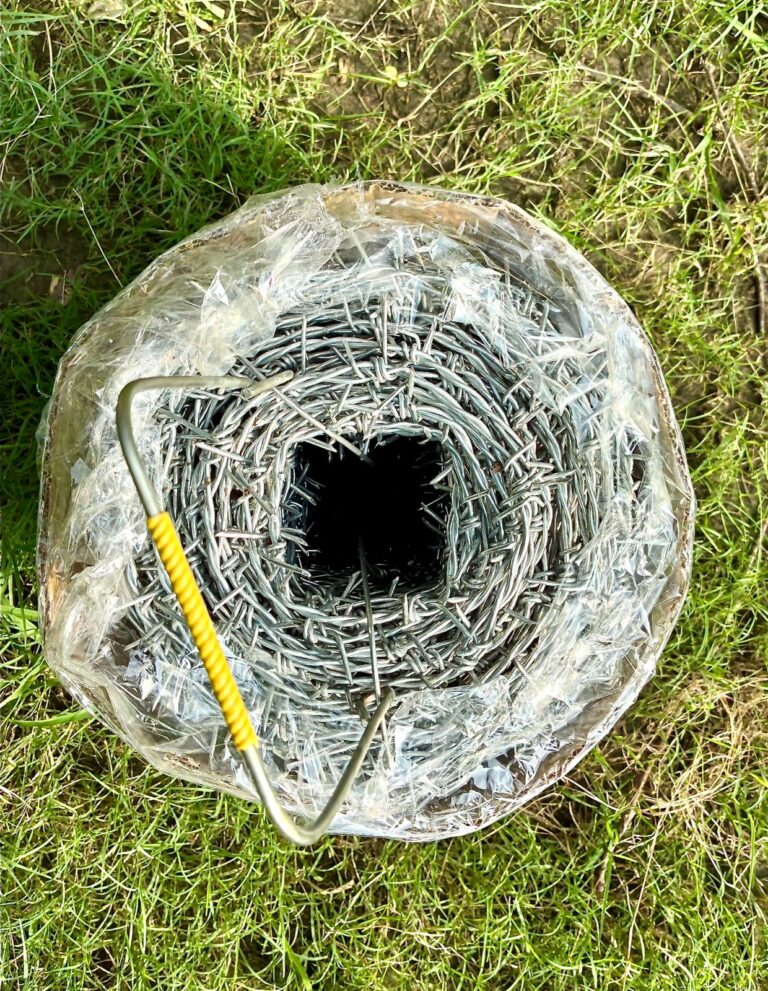 WhatsApp Image 2025-08-23 at 16.18.32 (1)