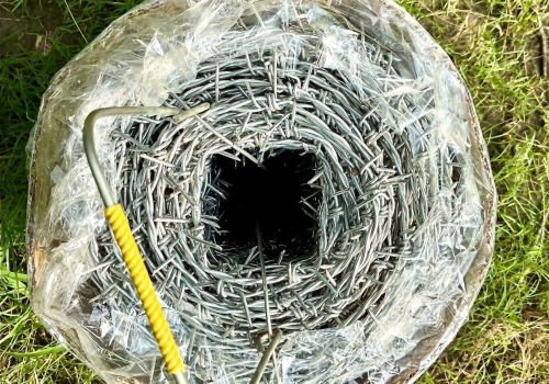 WhatsApp Image 2025-08-23 at 16.18.32 (1)